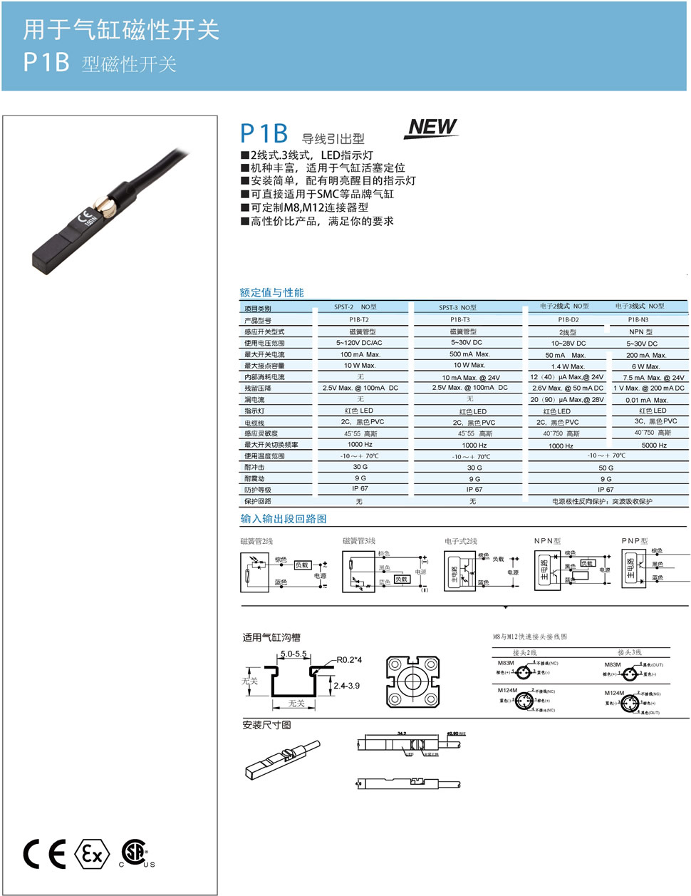 1P1B 型磁性开关.jpg