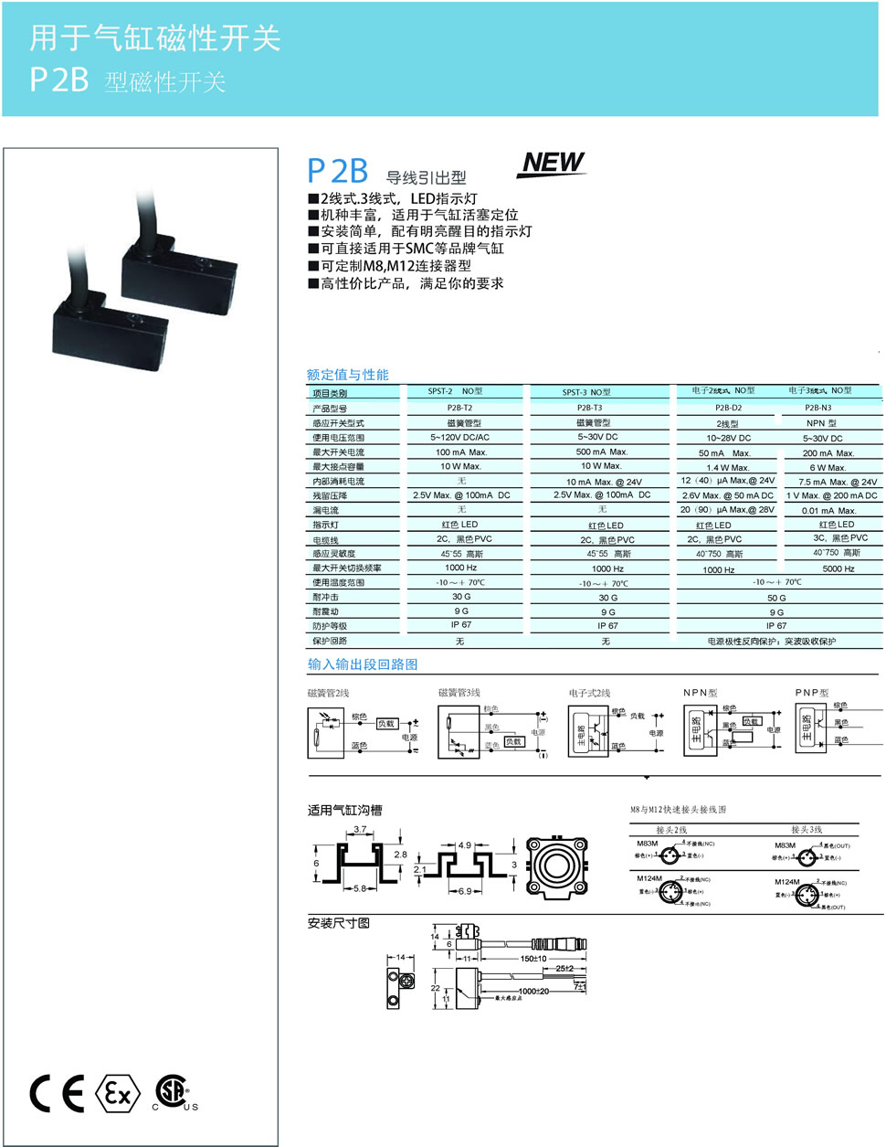 1P2B 型磁性开关.jpg