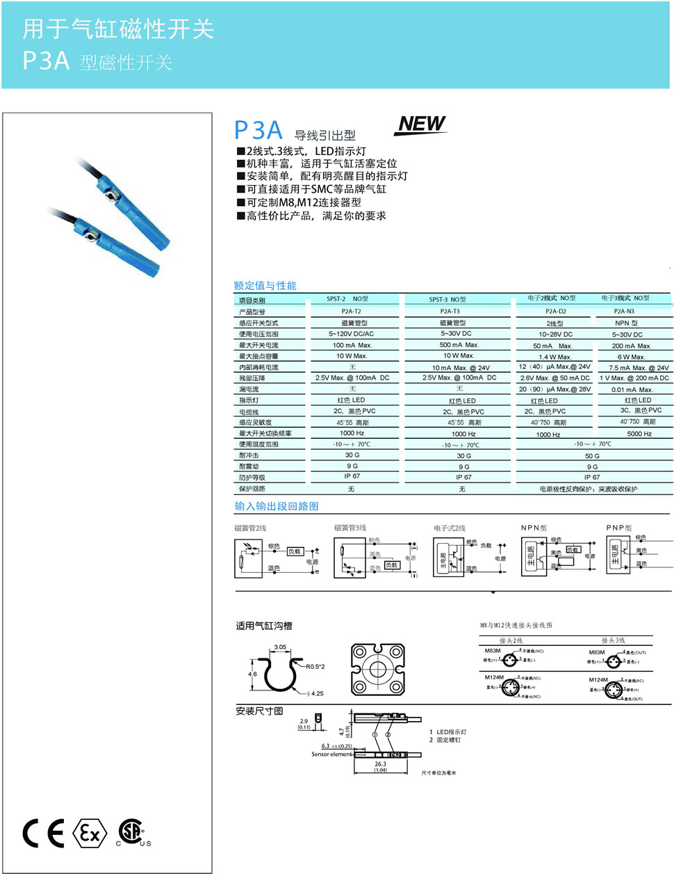 1P3A 型磁性开关.jpg