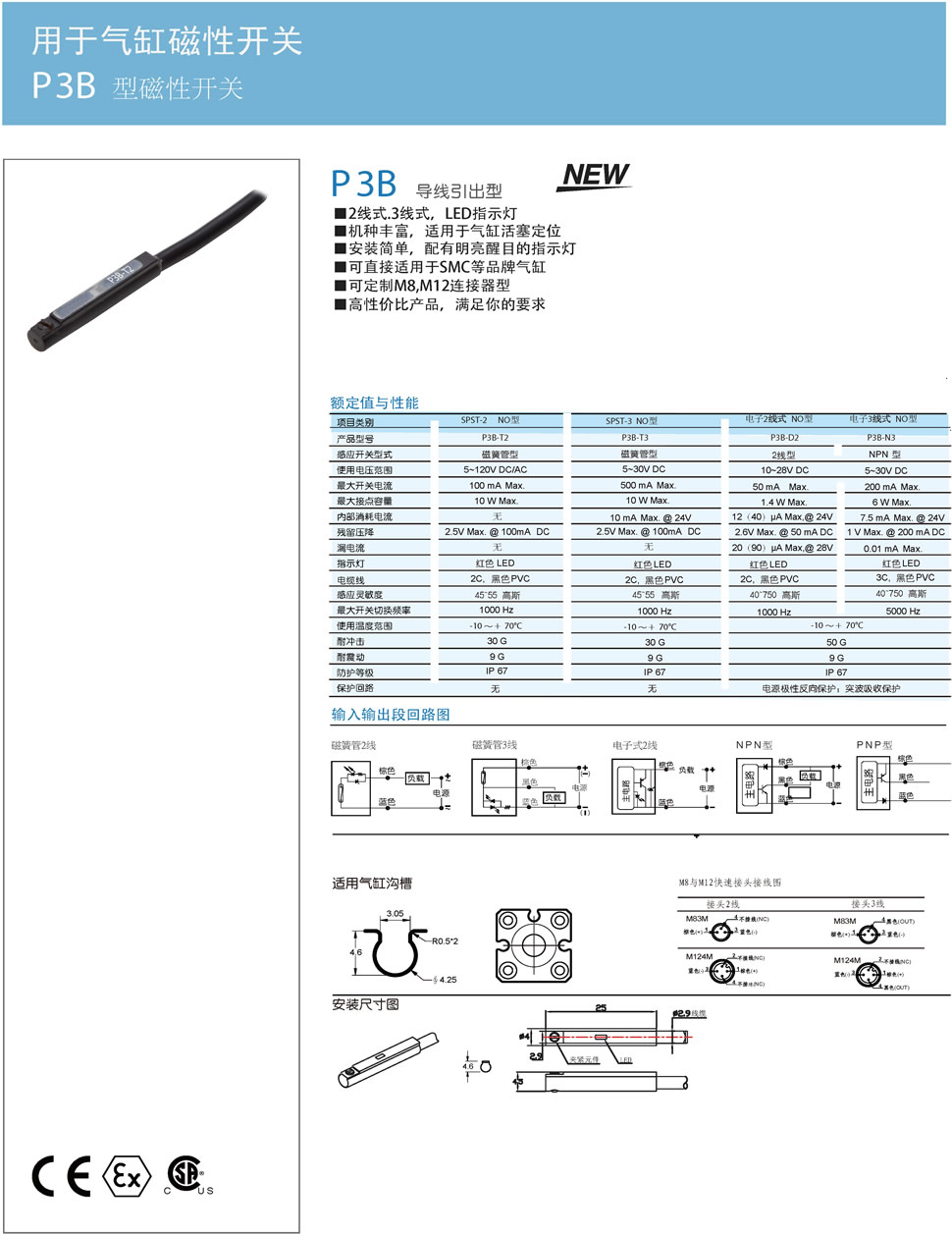 1P3B 型磁性开关.jpg