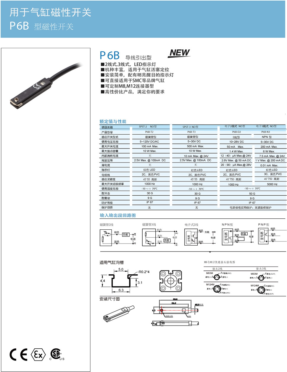 1P6B 型磁性开关.jpg