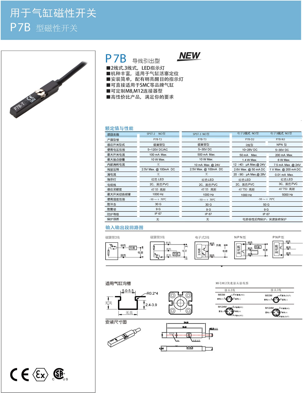 1P7B 型磁性开关.jpg